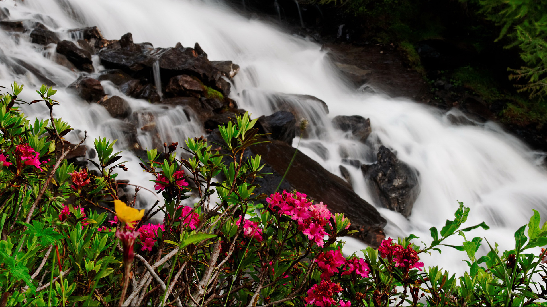 Водопад горы цветы